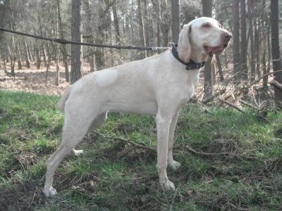 Ausflug ins Wildgehege.